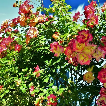 La Cabada Σπίτι διακοπών